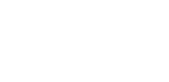 Condor Express ES