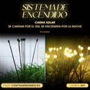 Luz Solar Efecto Luciérnaga